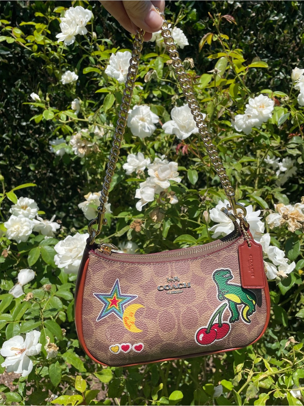 Coach CW321 Teri Mini Rexy Sticker Signature Crossbody Gold Chain Tan Multi